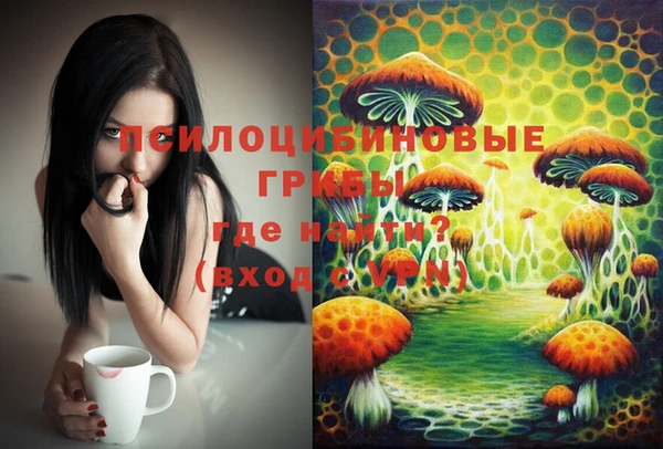 МДПВ Абдулино