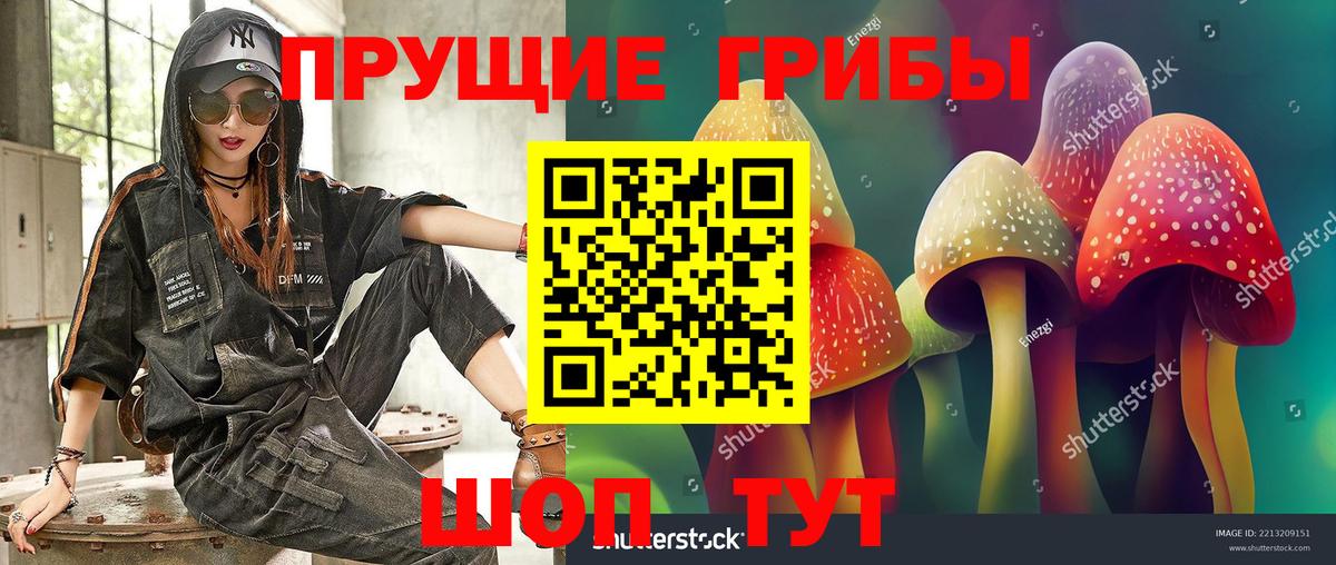 Псилоцибиновые грибы MAGIC MUSHROOMS  где можно купить наркотик  Шали  Вход с VPN 